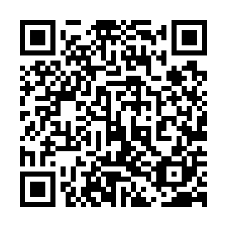 QR code for plate 5DL 700