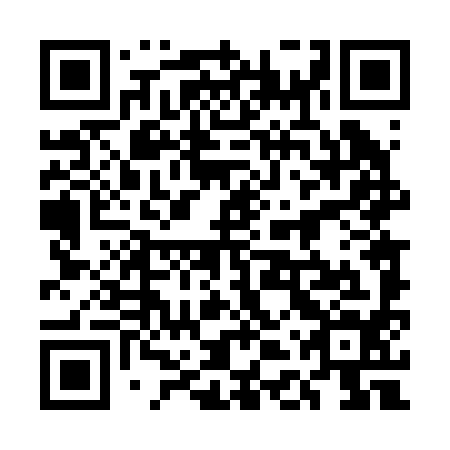 QR code for 5DT 294