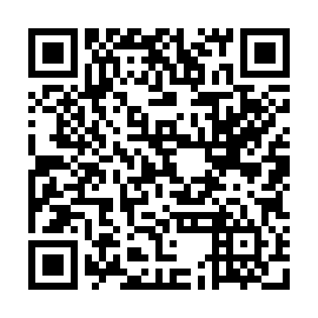 QR code for plate 5EO 384