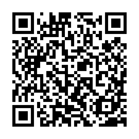 QR code for plate 5GZ 481