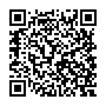 QR code for plate 5I 6941
