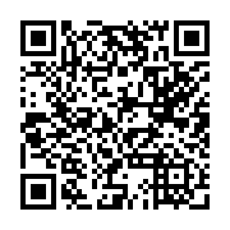QR code for plate 5IA 919