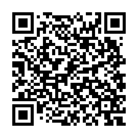QR code for plate 5IV 666