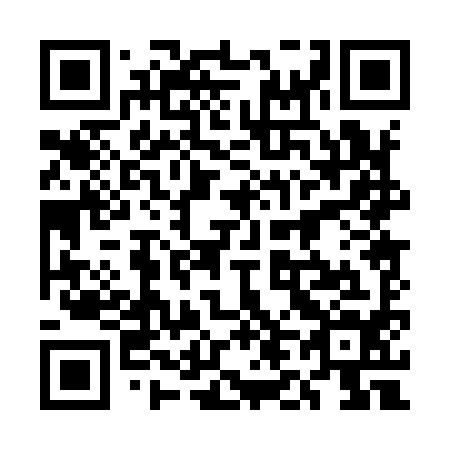 QR code for 5L 0994