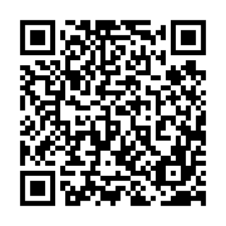 QR code for plate 5L 4656