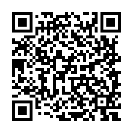 QR code for plate 5L 4992