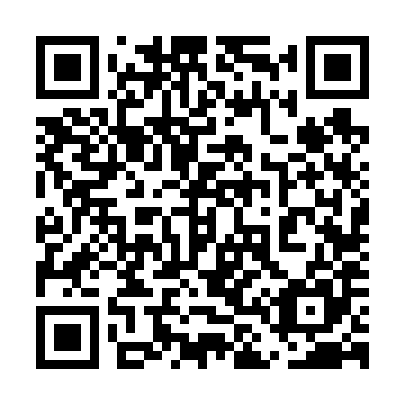 QR code for plate 5L 6685