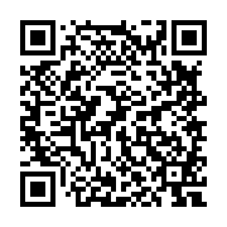 QR code for plate 5LJ 881