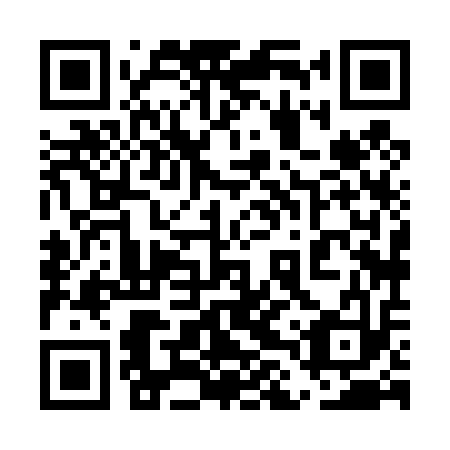 QR code for plate 5LX 413