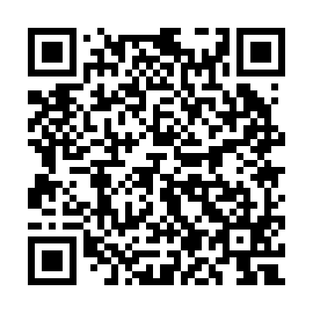QR code for plate 5M 1295