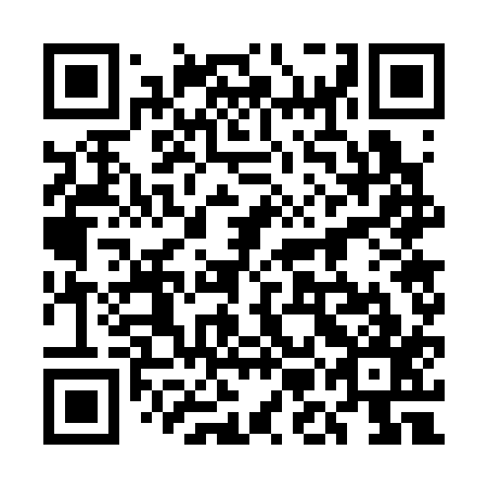QR code for 5MG 317