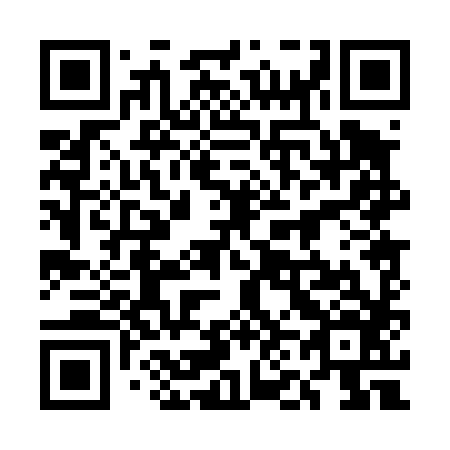 QR code for plate 5N 0486
