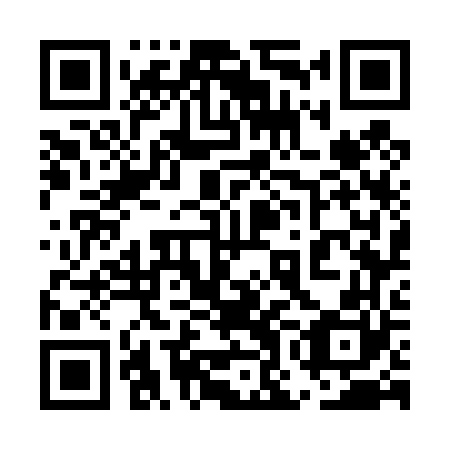 QR code for plate 5OG 460