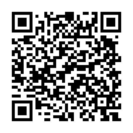QR code for plate 5OG 493