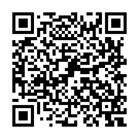 QR code for plate 5OK 993