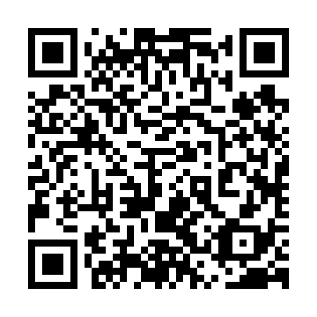 QR code for plate 5SR 638