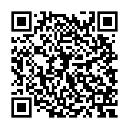 QR code for plate 5T 4704