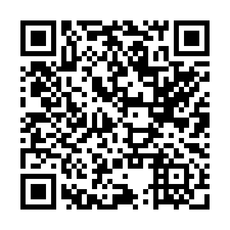 QR code for plate 5UR 291