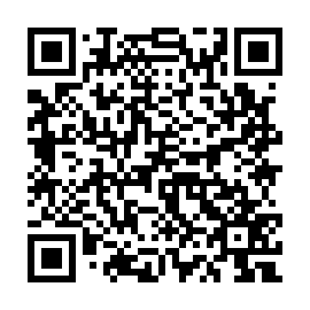 QR code for plate 5V 9177