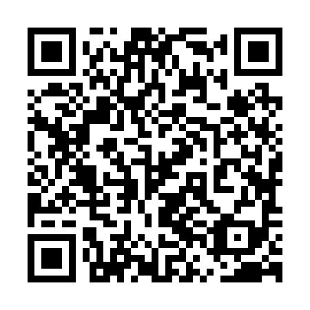 QR code for plate 5VJ 299