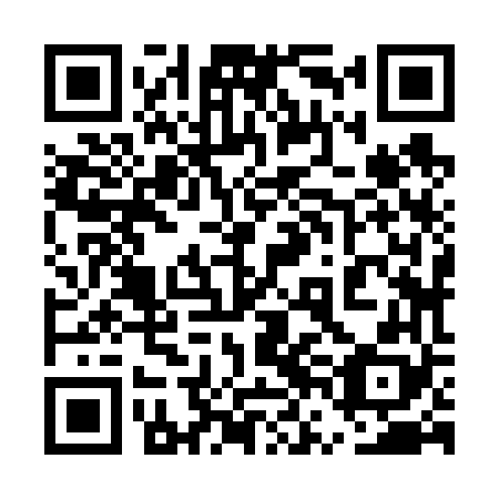 QR code for plate 5VJ 668