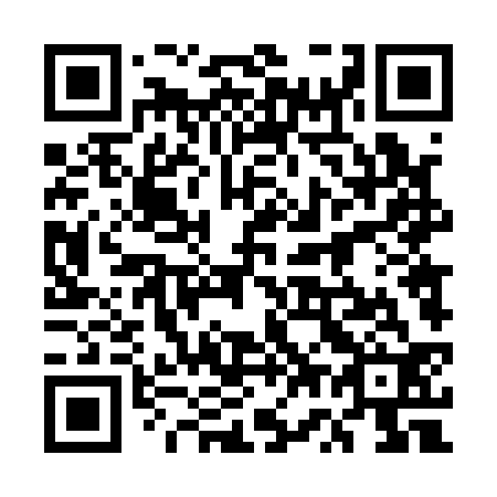 QR code for plate 5W 4132