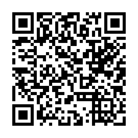QR code for plate 5WL 381