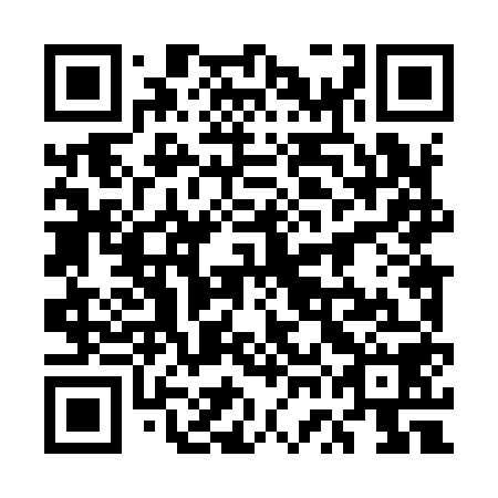 QR code for plate 5WL 958