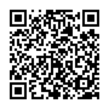 QR code for plate 5X 2611