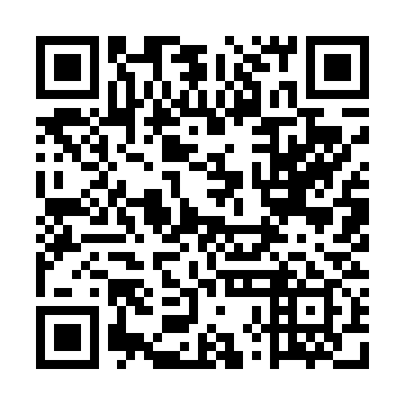 QR code for 5XI 439
