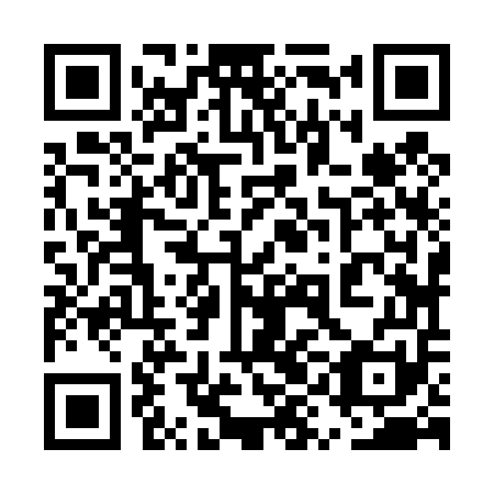 QR code for plate 5YJ 451
