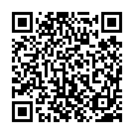 QR code for plate 5YJ 613