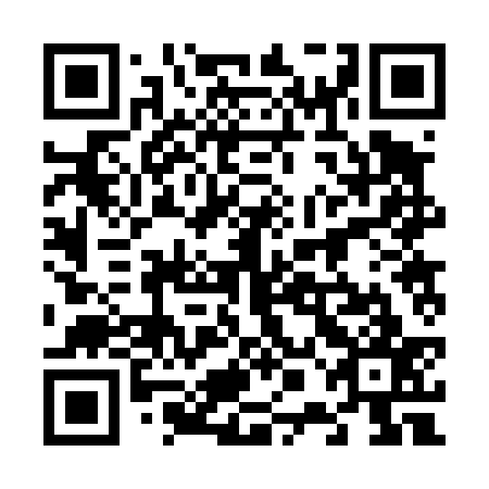 QR code for plate 60B 437