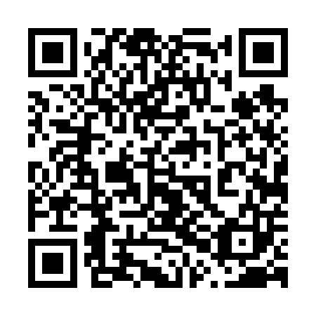 QR code for plate 60D 603