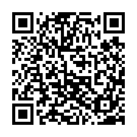 QR code for plate 60D 677