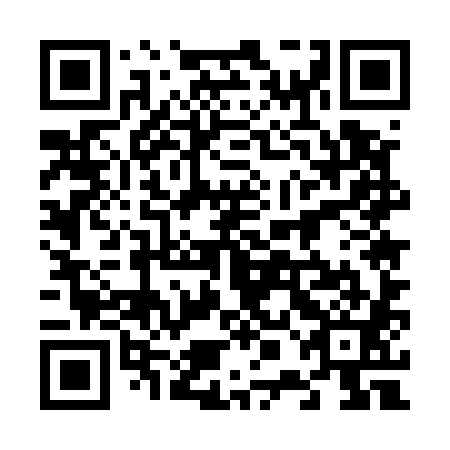QR code for plate 60E 581