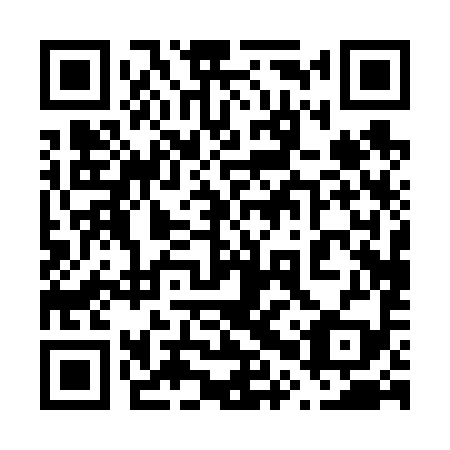 QR code for 60P 699