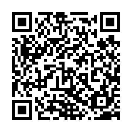 QR code for plate 60T 614