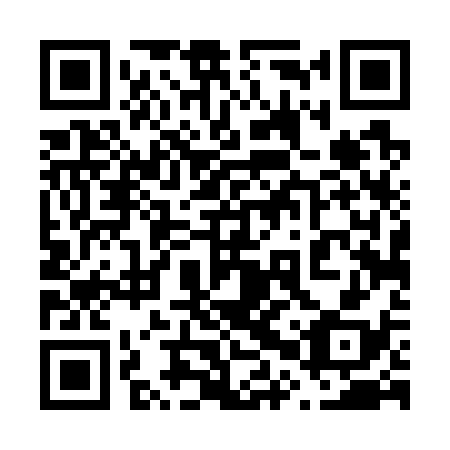 QR code for plate 60T 738