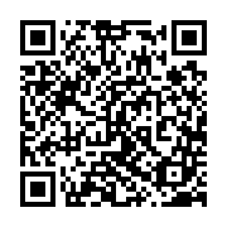 QR code for plate 60T 743