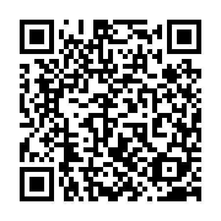 QR code for plate 61E 249