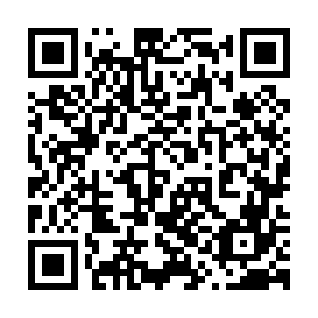 QR code for 61N 066