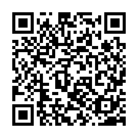 QR code for 61N 371