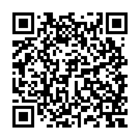 QR code for 61N 386