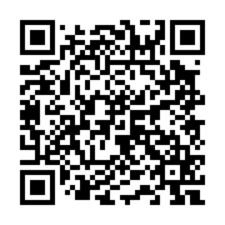 QR code for 61P 065