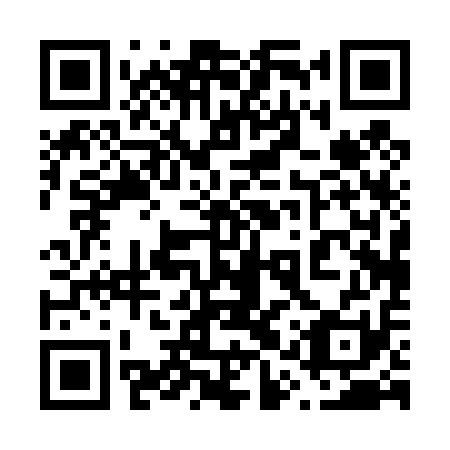 QR code for 61P 411