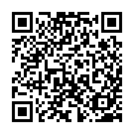 QR code for plate 61Q 381