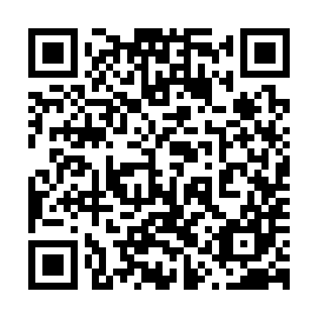 QR code for plate 61S 387
