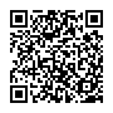 QR code for plate 61U 741