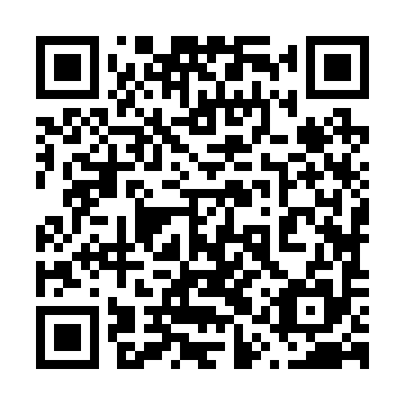 QR code for 61Z 295